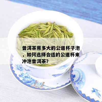 普洱茶用多大的公道杯子泡，如何选择合适的公道杯来冲泡普洱茶？