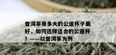 普洱茶用多大的公道杯子更好，如何选择适合的公道杯？——以普洱茶为例