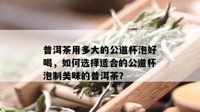 普洱茶用多大的公道杯泡好喝，如何选择适合的公道杯泡制美味的普洱茶？