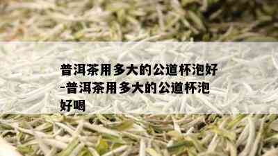 普洱茶用多大的公道杯泡好-普洱茶用多大的公道杯泡好喝