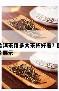 普洱茶用多大茶杯好看？图片展示