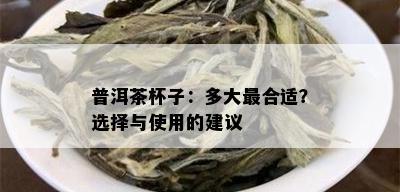 普洱茶杯子：多大最合适？选择与使用的建议