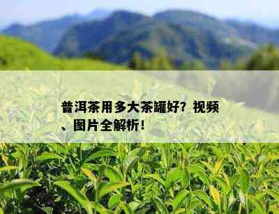 普洱茶用多大茶罐好？视频、图片全解析！