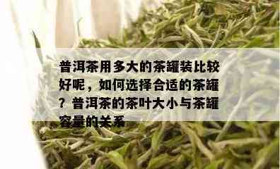 普洱茶用多大的茶罐装比较好呢，如何选择合适的茶罐？普洱茶的茶叶大小与茶罐容量的关系