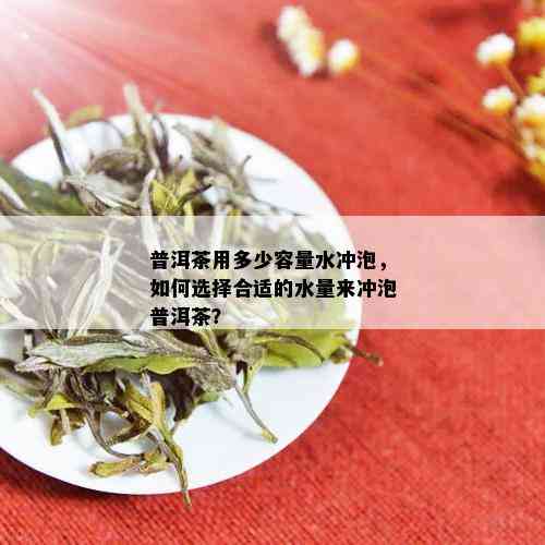 普洱茶用多少容量水冲泡，如何选择合适的水量来冲泡普洱茶？