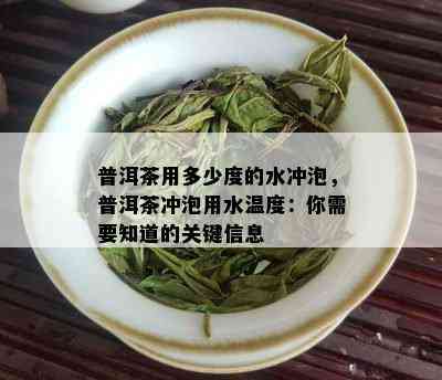 普洱茶用多少度的水冲泡，普洱茶冲泡用水温度：你需要知道的关键信息