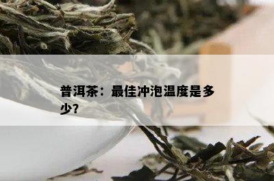 普洱茶：更佳冲泡温度是多少？