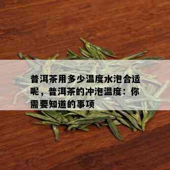 普洱茶用多少温度水泡合适呢，普洱茶的冲泡温度：你需要知道的事项