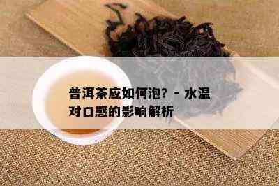 普洱茶应如何泡？- 水温对口感的影响解析