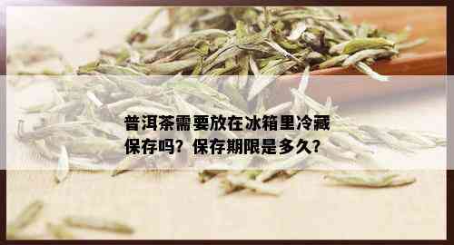 普洱茶需要放在冰箱里冷藏保存吗？保存期限是多久？