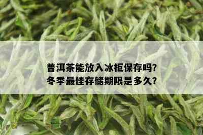 普洱茶能放入冰柜保存吗？冬季更佳存储期限是多久？