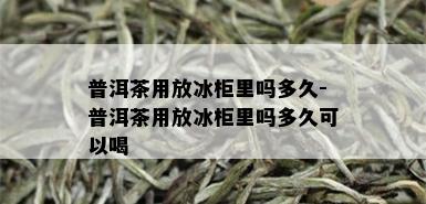 普洱茶用放冰柜里吗多久-普洱茶用放冰柜里吗多久可以喝