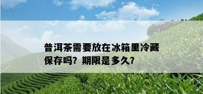 普洱茶需要放在冰箱里冷藏保存吗？期限是多久？