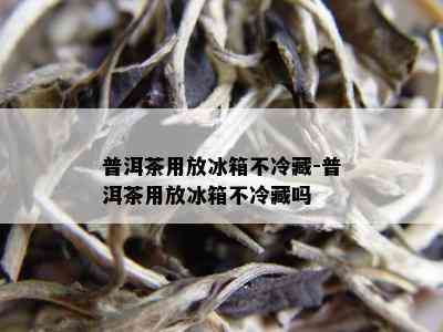 普洱茶用放冰箱不冷藏-普洱茶用放冰箱不冷藏吗