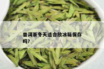 普洱茶冬天适合放冰箱保存吗？