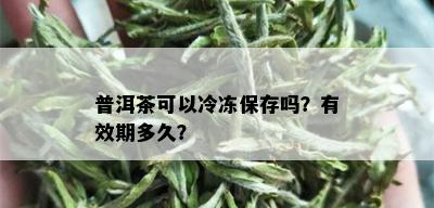 普洱茶可以冷冻保存吗？有效期多久？