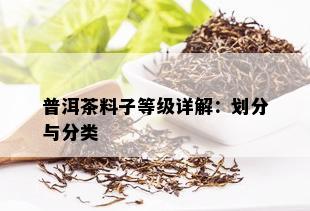 普洱茶料子等级详解：划分与分类