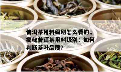 普洱茶用料级别怎么看的，揭秘普洱茶用料级别：如何判断茶叶品质？