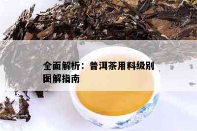 全面解析：普洱茶用料级别图解指南