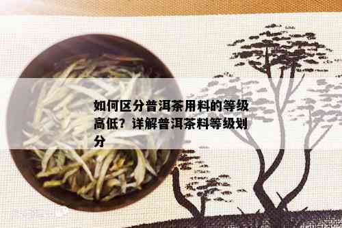 如何区分普洱茶用料的等级高低？详解普洱茶料等级划分