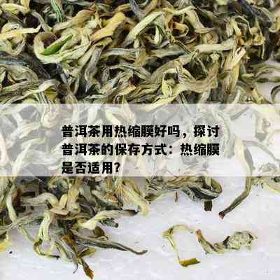 普洱茶用热缩膜好吗，探讨普洱茶的保存方式：热缩膜是否适用？