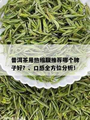 普洱茶用热缩膜推荐哪个牌子好？、口感全方位分析！