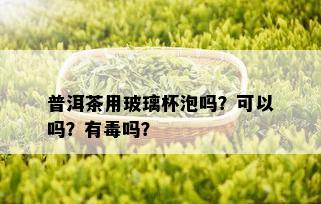 普洱茶用玻璃杯泡吗？可以吗？有吗？