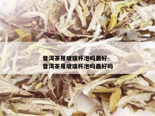 普洱茶用玻璃杯泡吗更好-普洱茶用玻璃杯泡吗更好吗