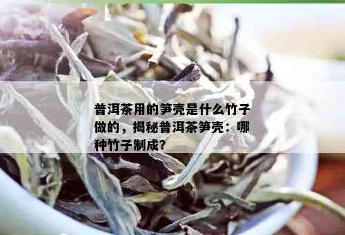 普洱茶用的笋壳是什么竹子做的，揭秘普洱茶笋壳：哪种竹子制成？