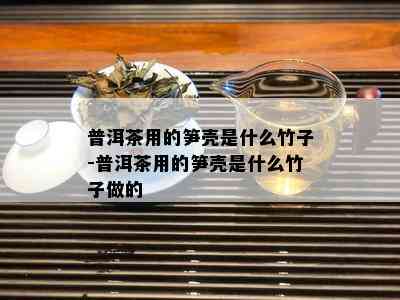 普洱茶用的笋壳是什么竹子-普洱茶用的笋壳是什么竹子做的