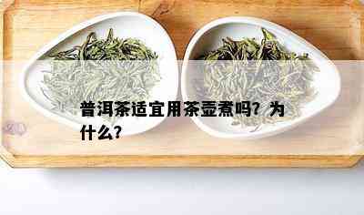 普洱茶适宜用茶壶煮吗？为什么？