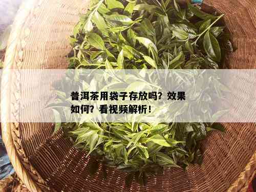 普洱茶用袋子存放吗？效果如何？看视频解析！