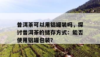 普洱茶可以用铝罐装吗，探讨普洱茶的储存方式：能否使用铝罐包装？