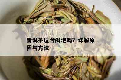 普洱茶适合闷泡吗？详解原因与方法