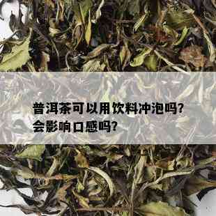 普洱茶可以用饮料冲泡吗？会影响口感吗？