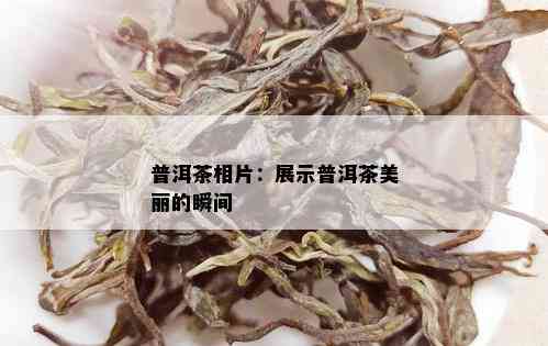 普洱茶相片：展示普洱茶美丽的瞬间