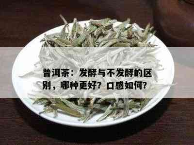 普洱茶：发酵与不发酵的区别，哪种更好？口感如何？