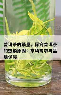 普洱茶的销量，探究普洱茶的热销原因：市场需求与品质保障