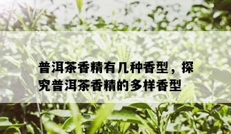 普洱茶香精有几种香型，探究普洱茶香精的多样香型