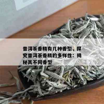 普洱茶香精有几种香型，探究普洱茶香精的多样性：揭秘其不同香型