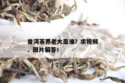 普洱茶界老大是谁？求视频、图片解答！