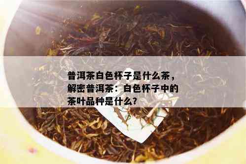 普洱茶白色杯子是什么茶，解密普洱茶：白色杯子中的茶叶品种是什么？