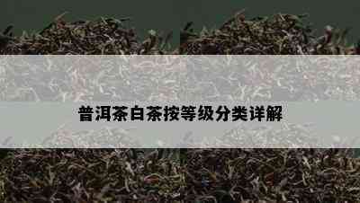 普洱茶白茶按等级分类详解