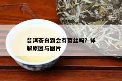 普洱茶白霜会有菌丝吗？详解原因与图片