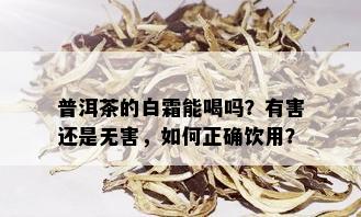 普洱茶的白霜能喝吗？有害还是无害，如何正确饮用？