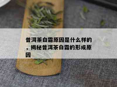 普洱茶白霜原因是什么样的，揭秘普洱茶白霜的形成原因