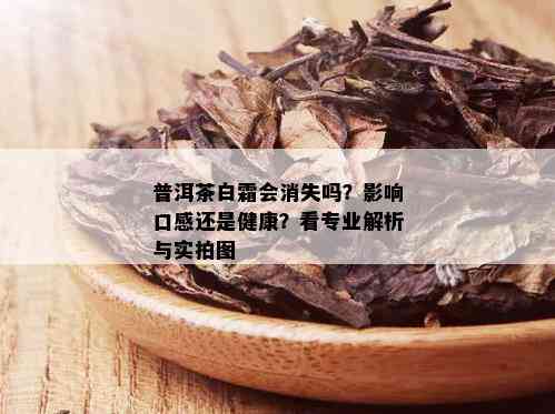 普洱茶白霜会消失吗？影响口感还是健康？看专业解析与实拍图