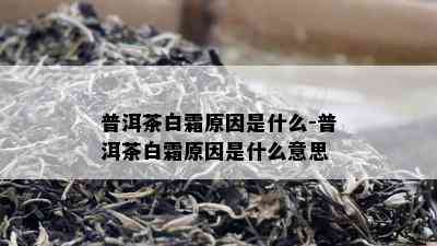 普洱茶白霜原因是什么-普洱茶白霜原因是什么意思