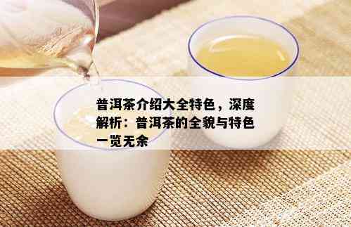 普洱茶介绍大全特色，深度解析：普洱茶的全貌与特色一览无余