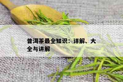 普洱茶最全知识：详解、大全与讲解